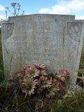 image of grave number 113021